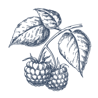 La Framboise Nos Liqueurs De Fruits Et De Plantes Nos Produits La Framboise Nos Liqueurs De Fruits Et De Plantes Nos Produits